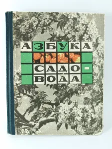 ������ ��������, ������� 1966